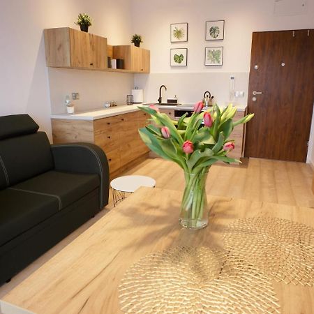 Apartament Na Piernikowym Z Miejscem Postojowym Stary Toruń 외부 사진